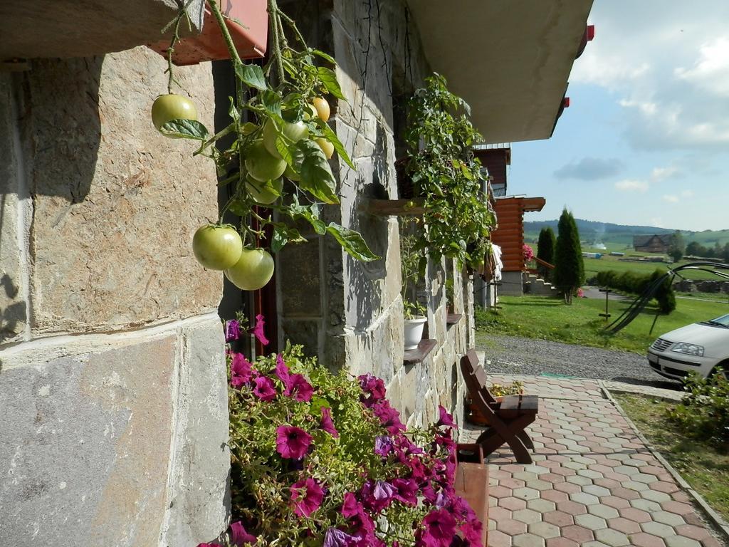 Penzion Slovakia Sebesér Kültér fotó